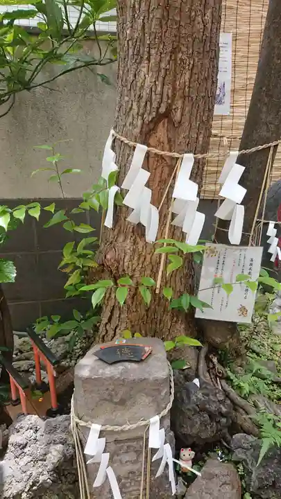 末廣神社の自然