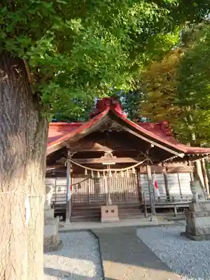 浅間日月神社の本殿・本堂