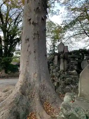 東石清水八幡神社(埼玉県)