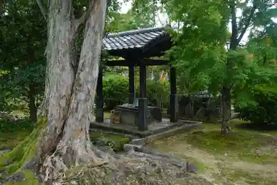 智積院の手水舎