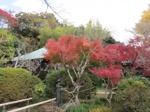 浄光明寺(神奈川県)