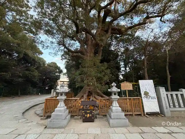 和泉國一之宮 大鳥大社(大阪府)