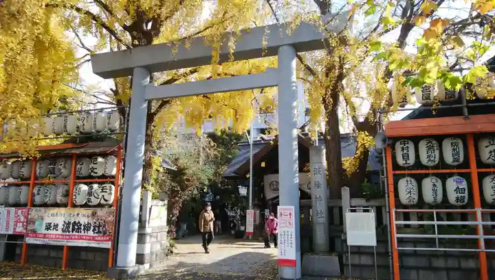 波除神社(波除稲荷神社)の鳥居