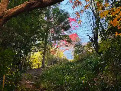 箸蔵寺(徳島県)