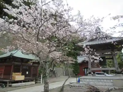 那古寺のその他建物