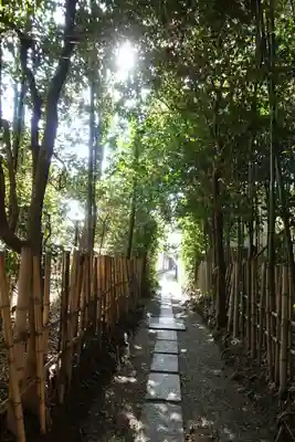 厭離庵のその他建物