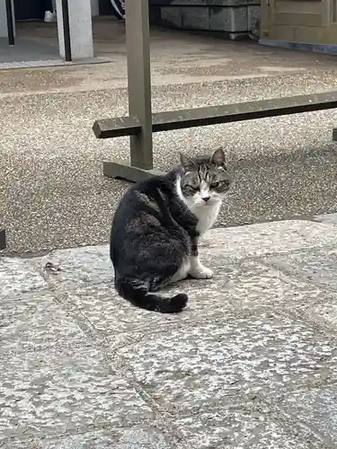 円覚寺(神奈川県)