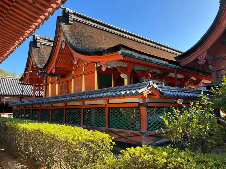 伊佐爾波神社(愛媛県)