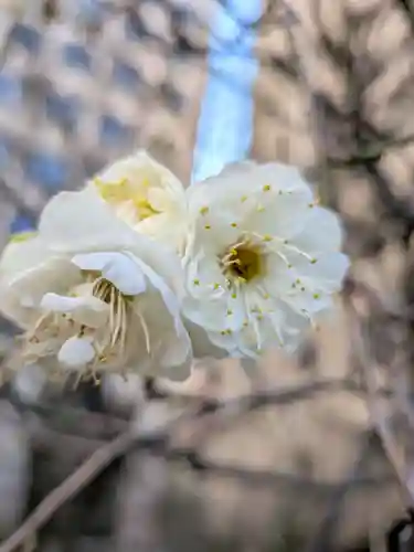 銀世界稲荷神社(東京都)