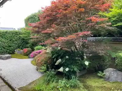 興臨院の庭園