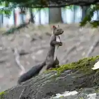美幌神社(北海道)