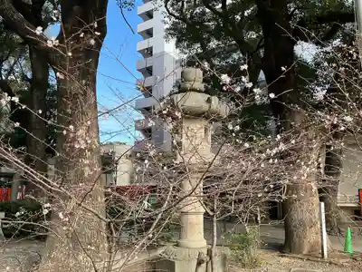 若宮八幡社(愛知県)
