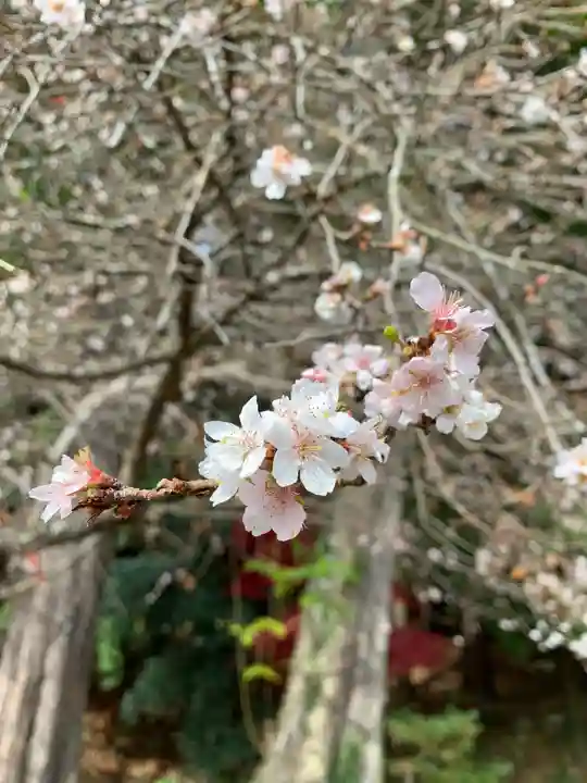 鹿島大神宮(福島県)