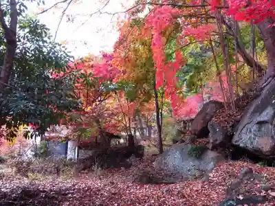 栖雲寺のその他建物