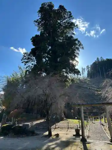 月瀬神社(長野県)