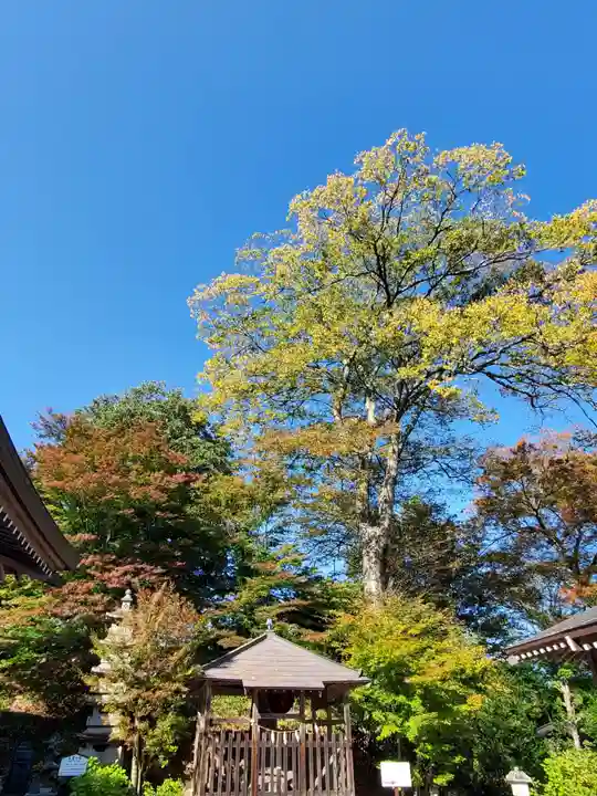 石都々古和気神社(福島県)