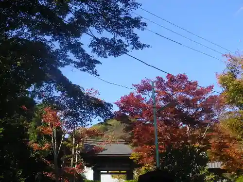 海蔵寺の山門