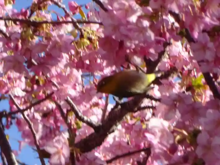 素盞嗚神社の自然