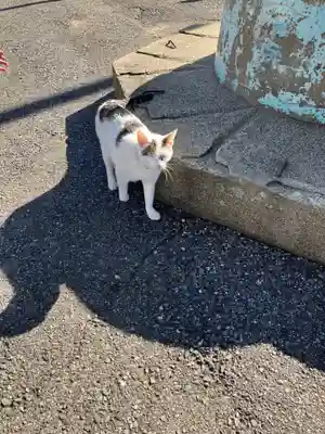 金刀比羅宮(千葉県)