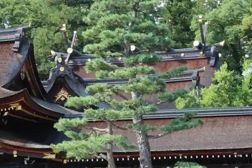 多賀大社の自然