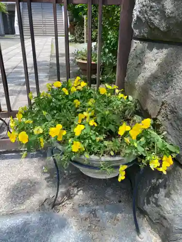 西念寺(神奈川県)