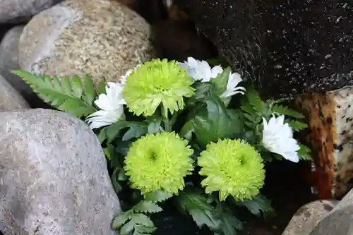 上尾御嶽神社の手水