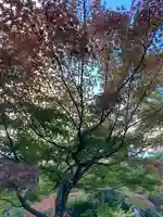 宝厳院(京都府)