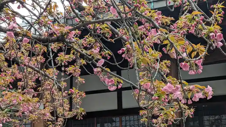 墨染寺(桜寺)(京都府)