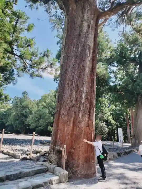伊勢神宮内宮(皇大神宮)の{uncategorized: "未分類", other: "その他", undefined: "問題あり", building: "その他建物", grave: "お墓", sacred_gate: "鳥居", guardian: "狛犬", statue: "像", buddha: "仏像", history: "歴史", nature: "自然", garden: "庭園", animal: "動物", pagoda: "塔", temizu: "手水舎", mountain_gate: "山門・神門", sanctuary: "本殿・本堂", subordinate: "末社・摂社", art: "芸術", scenery: "景色", jizo: "地蔵", ema: "絵馬", goshuin: "御朱印", omikuji: "おみくじ", items: "授与品その他", amulet: "お守り", goshuincho: "御朱印帳", eats: "食事", festival: "お祭り", votive_dance: "神楽", shichigosan: "七五三参", wedding: "結婚式", experience: "体験その他", initially: "初詣", around: "周辺", anti_infection: "感染症対策"}