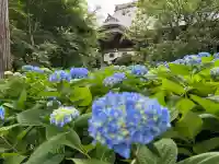 雲昌寺(秋田県)