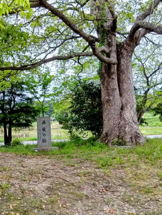 岩屋寺(福島県)
