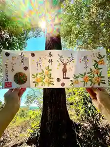 埼玉厄除け開運大師・龍泉寺(切り絵御朱印発祥の寺)の御朱印(2025年08月31日(日) 20時04分48秒投稿)