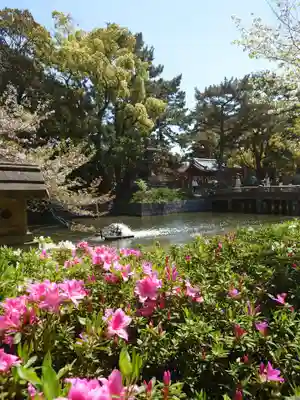 住吉大社(大阪府)