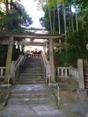 阿蘇神社の鳥居