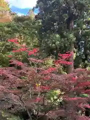 宝珠山 立石寺(山形県)