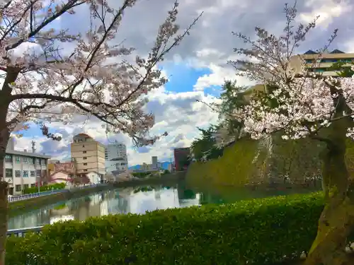 福井神社の建物その他