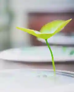 浄土寺(兵庫県)(2023年05月10日(水) 07時27分31秒投稿)