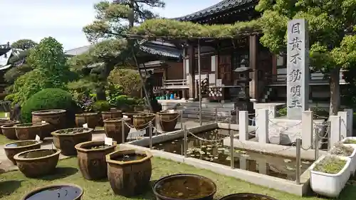 最勝寺の庭園