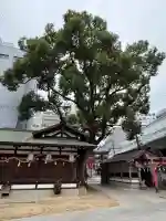 堀川戎神社(大阪府)