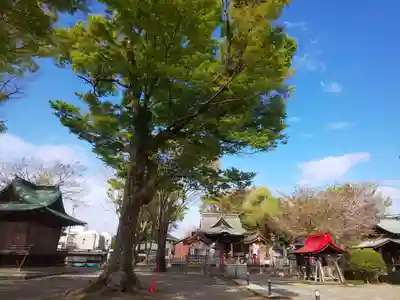 多賀神社のその他建物