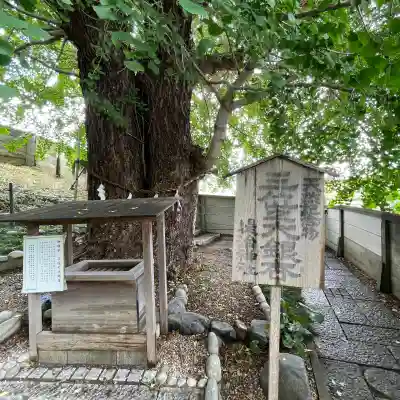 堤治神社(愛知県)