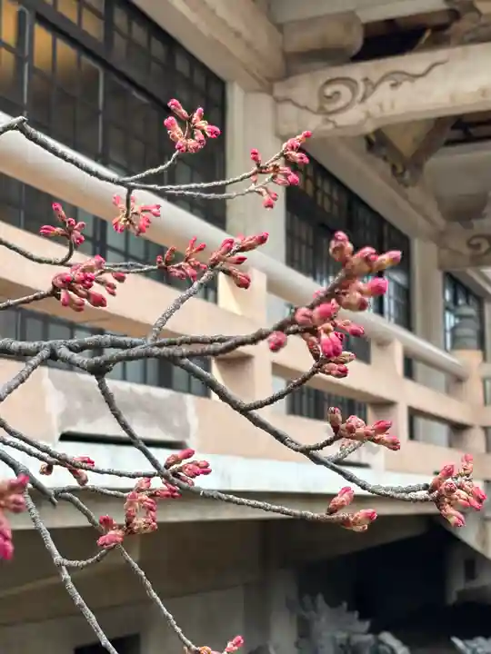 白旗観音寺(兵庫県)