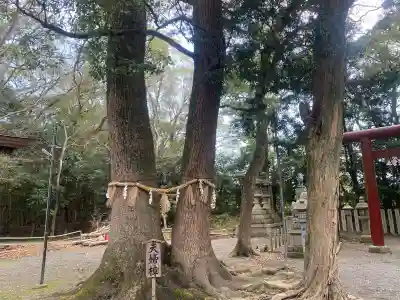 男神社の{uncategorized: "未分類", other: "その他", undefined: "問題あり", building: "その他建物", grave: "お墓", sacred_gate: "鳥居", guardian: "狛犬", statue: "像", buddha: "仏像", history: "歴史", nature: "自然", garden: "庭園", animal: "動物", pagoda: "塔", temizu: "手水舎", mountain_gate: "山門・神門", sanctuary: "本殿・本堂", subordinate: "末社・摂社", art: "芸術", scenery: "景色", jizo: "地蔵", ema: "絵馬", goshuin: "御朱印", omikuji: "おみくじ", items: "授与品その他", amulet: "お守り", goshuincho: "御朱印帳", eats: "食事", festival: "お祭り", votive_dance: "神楽", shichigosan: "七五三参", wedding: "結婚式", experience: "体験その他", initially: "初詣", around: "周辺", anti_infection: "感染症対策"}