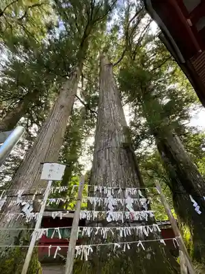 日光二荒山神社(栃木県)