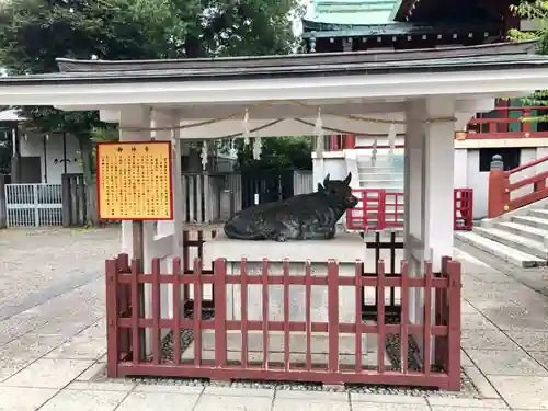 亀戸天神社の狛犬