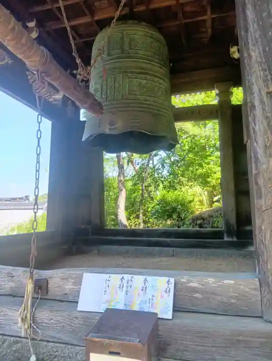 関善光寺の{uncategorized: "未分類", other: "その他", undefined: "問題あり", building: "その他建物", grave: "お墓", sacred_gate: "鳥居", guardian: "狛犬", statue: "像", buddha: "仏像", history: "歴史", nature: "自然", garden: "庭園", animal: "動物", pagoda: "塔", temizu: "手水舎", mountain_gate: "山門・神門", sanctuary: "本殿・本堂", subordinate: "末社・摂社", art: "芸術", scenery: "景色", jizo: "地蔵", ema: "絵馬", goshuin: "御朱印", omikuji: "おみくじ", items: "授与品その他", amulet: "お守り", goshuincho: "御朱印帳", eats: "食事", festival: "お祭り", votive_dance: "神楽", shichigosan: "七五三参", wedding: "結婚式", experience: "体験その他", initially: "初詣", around: "周辺", anti_infection: "感染症対策"}