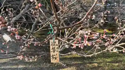 元興寺(奈良県)