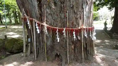 磐椅神社(福島県)