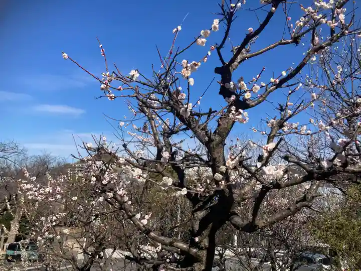 永谷天満宮(神奈川県)