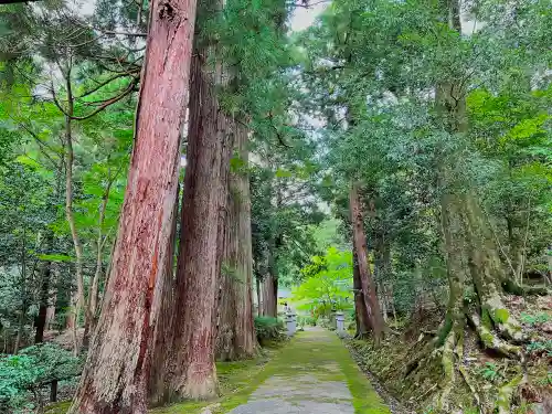 妙楽寺(福井県)